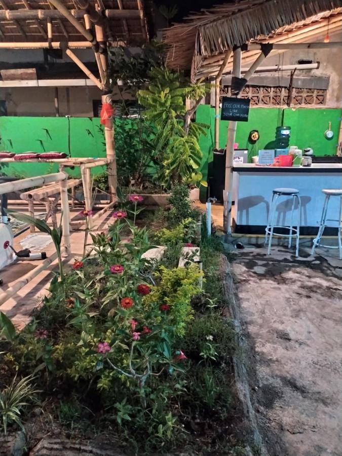 Robiu Homestay Banyuwangi  Exterior photo